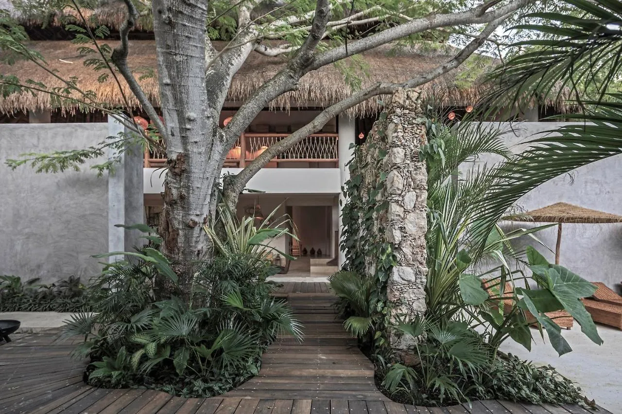 Hotel Casa Hormiga Bacalar