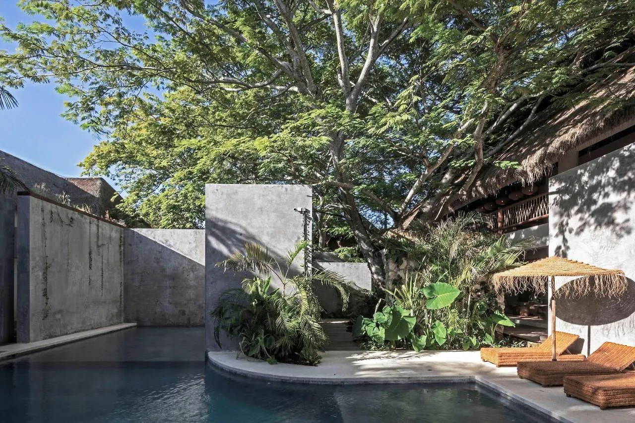Hotel Casa Hormiga Bacalar