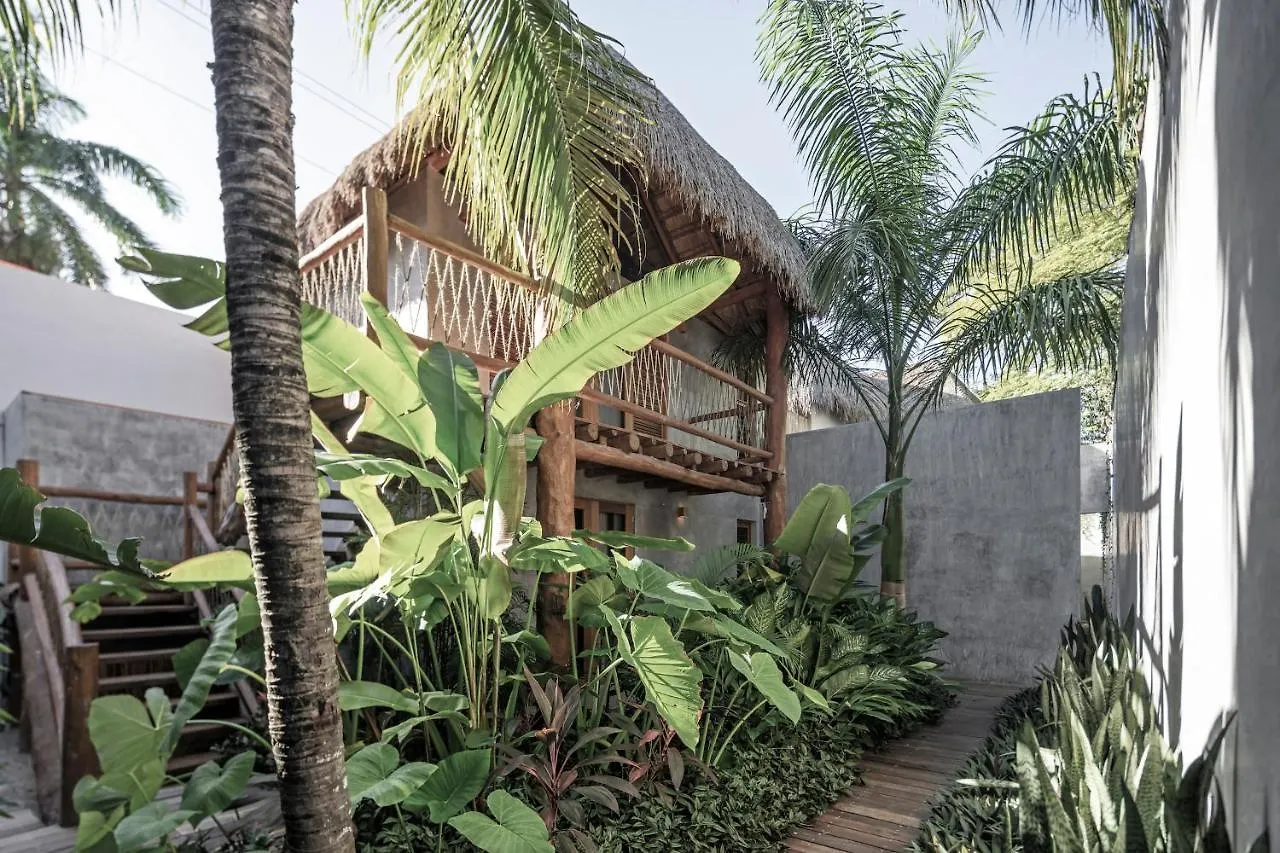Hotel Casa Hormiga Bacalar México