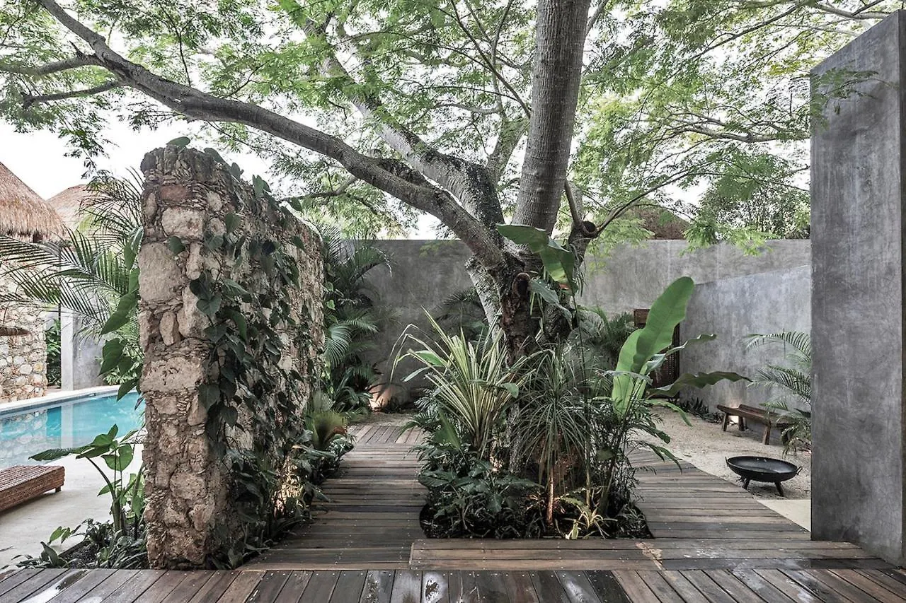 Hotel Casa Hormiga Bacalar