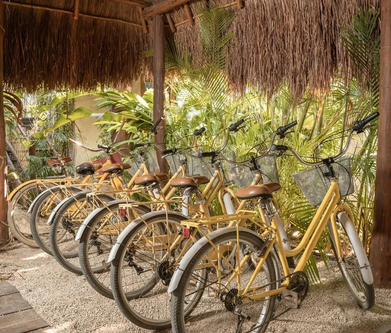 Hotel Casa Hormiga Bacalar